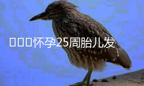 ​​​怀孕25周胎儿发育情况都有什么