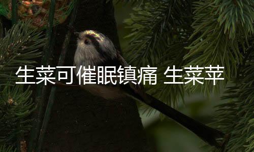 生菜可催眠镇痛 生菜苹果汁的做法