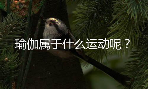 瑜伽属于什么运动呢？