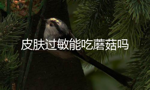 皮肤过敏能吃蘑菇吗