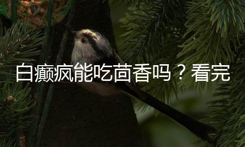 白癫疯能吃茴香吗？看完后就全明白了