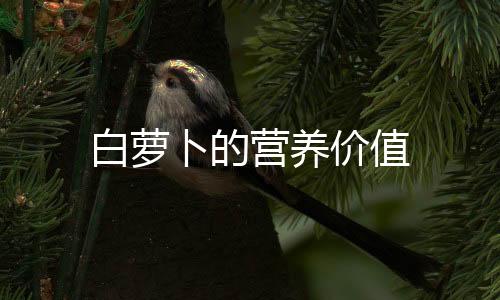 白萝卜的营养价值