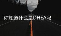 你知道什么是DHEA吗？