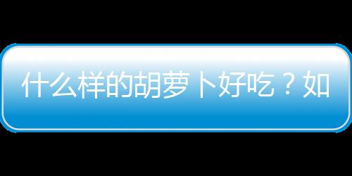 什么样的胡萝卜好吃？如何挑选优质的胡萝卜