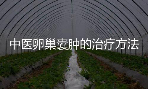 中医卵巢囊肿的治疗方法