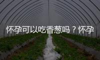 怀孕可以吃香葱吗？怀孕吃什么比较好