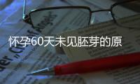 怀孕60天未见胚芽的原因及解决方案