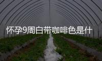 怀孕9周白带咖啡色是什么情况