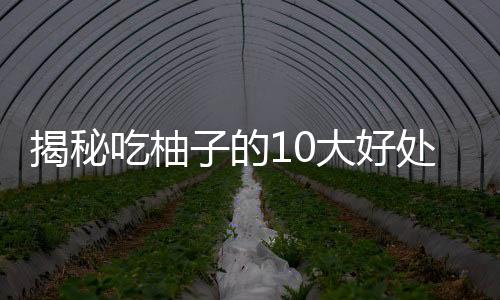 揭秘吃柚子的10大好处