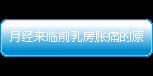 月经来临前乳房胀痛的原因