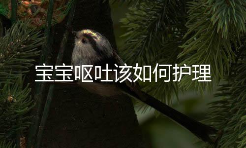 宝宝呕吐该如何护理