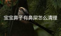 宝宝鼻子有鼻屎怎么清理呢