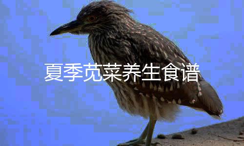 夏季苋菜养生食谱