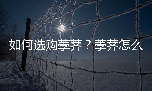 如何选购荸荠？荸荠怎么吃