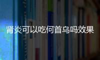 肾炎可以吃何首乌吗效果怎么样