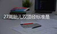 27周胎儿双顶径标准是什么